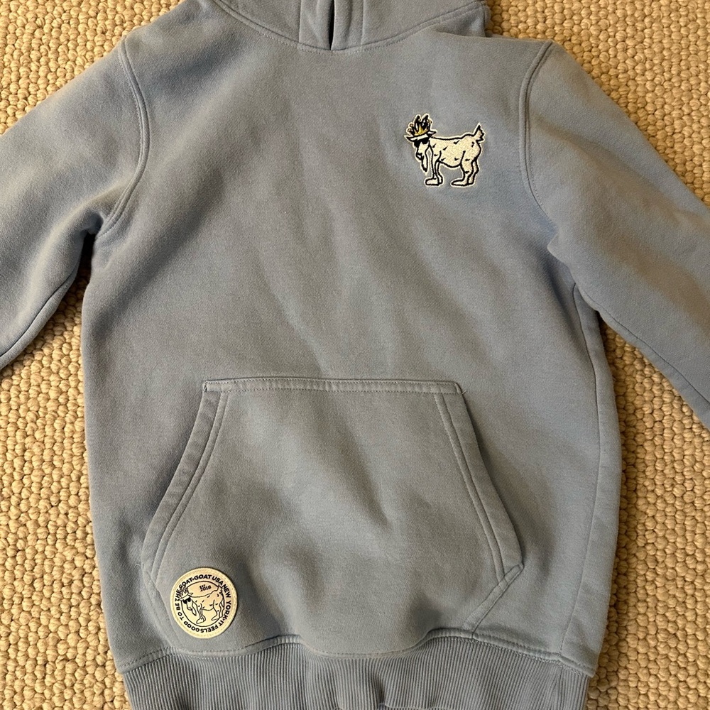 Children's Light Blue Hoodie GOAT USA - Picture 2 of 4